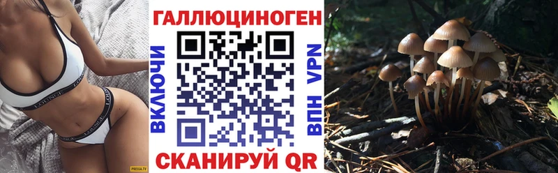Псилоцибиновые грибы мицелий  Хвалынск 