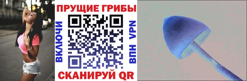 Псилоцибиновые грибы Psilocybine cubensis Хвалынск
